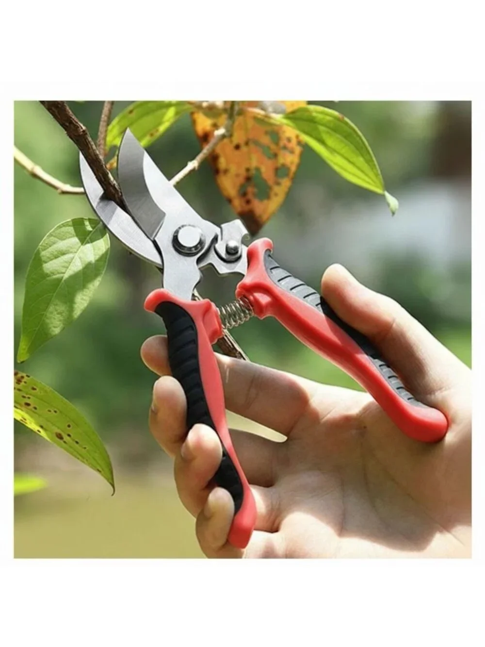 Garden Pruning Shears 7in Stainless Steel Scissors Houseplants Flowers Red Black
